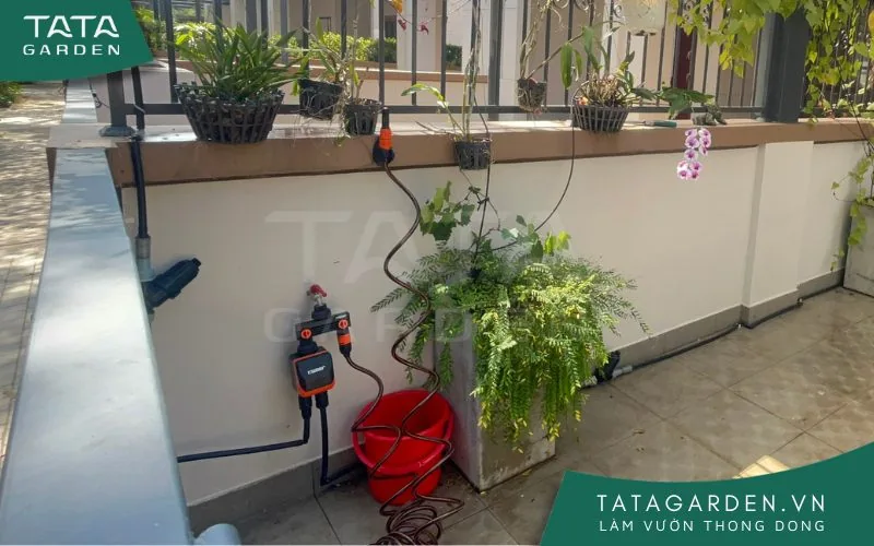 Lựa chọn timer hẹn giờ theo sở thích của bản thân mình