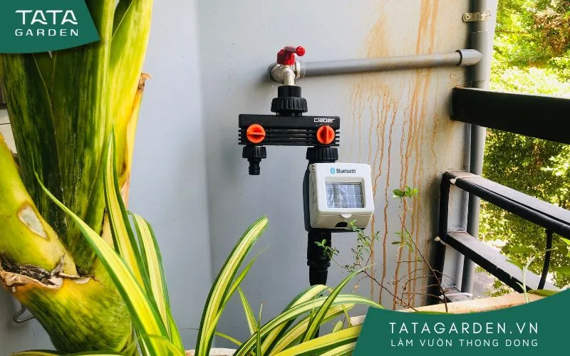 Timer hẹn giờ tưới cây năng lượng mặt trời