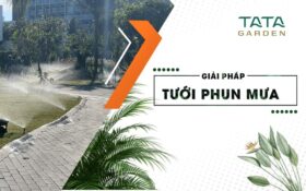 Hệ thống tưới phun mưa phù hợp với sân vườn