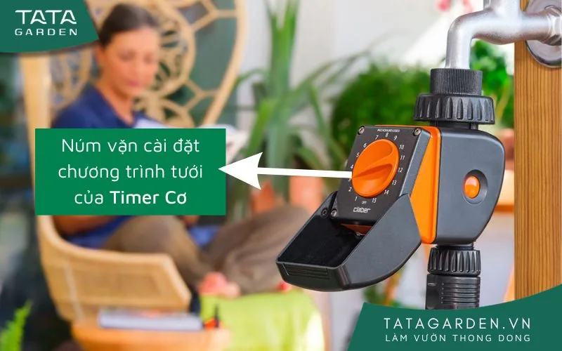 Timer hẹn giờ cơ