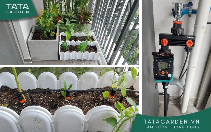 Timer hẹn giờ điện tử giúp bạn dễ dàng quản lý chương trình tưới cây