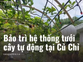 Bảo trì hệ thống tưới cây tự động cho sân vườn ở Củ Chi