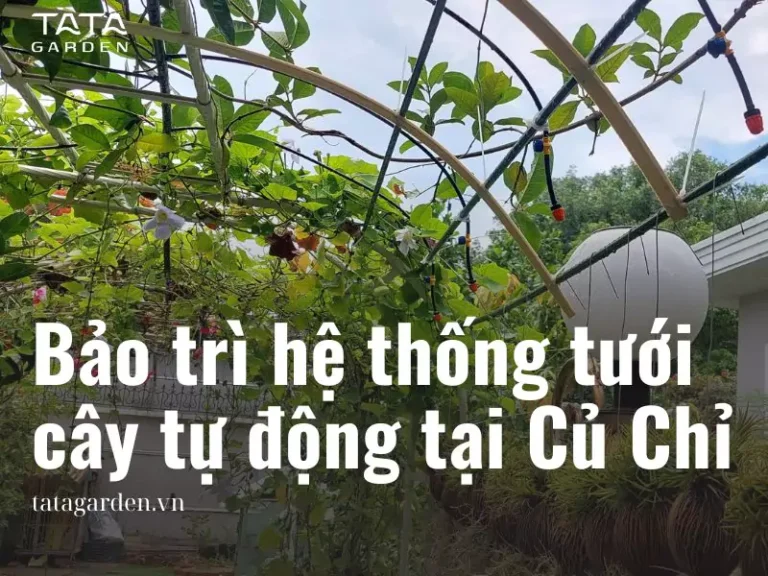 Bảo trì hệ thống tưới cây tự động cho sân vườn ở Củ Chi