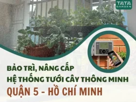 Bảo trì, nâng cấp hệ thống tưới cây thông minh cho sân thượng quận 5 – HCM