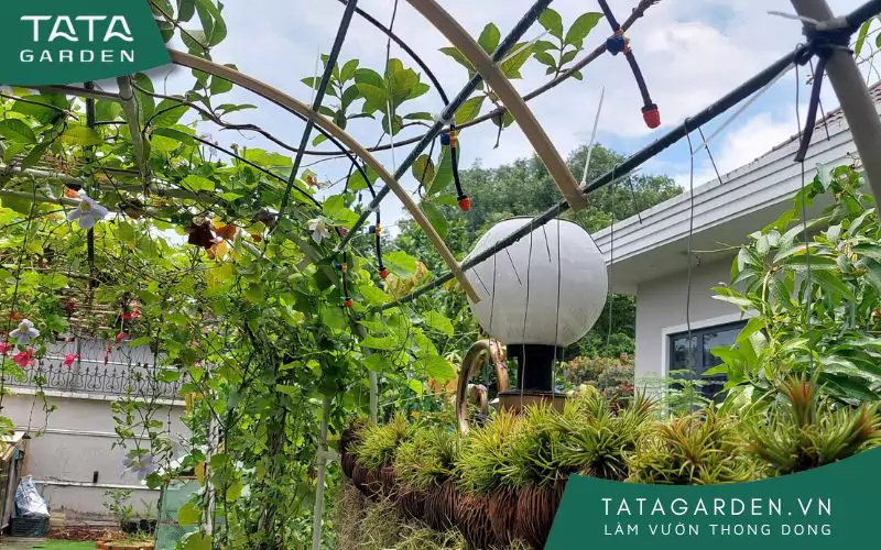 bec-tuoi-phun-suong-lap-gian-leo-1