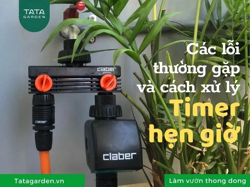 Mách bạn các lỗi thường gặp ở Timer hẹn giờ tưới cây và cách xử lý