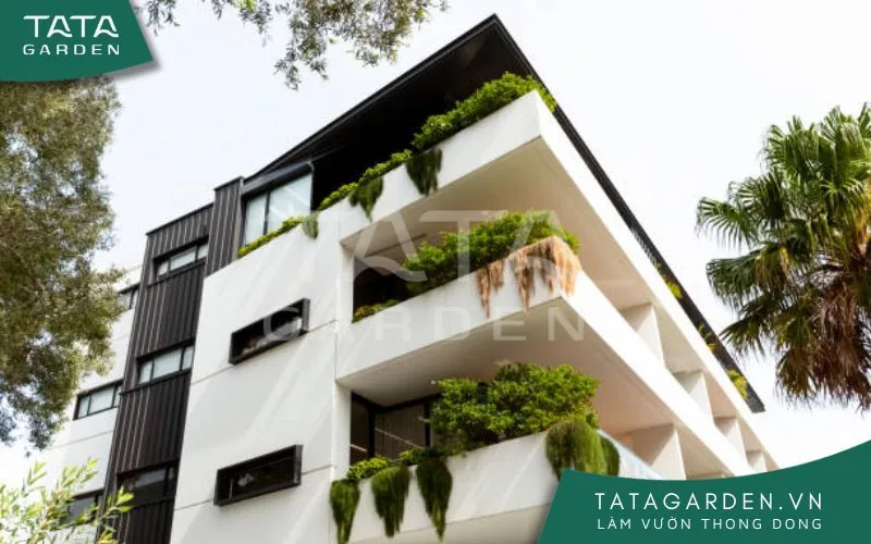 Chọn giải pháp tưới tập trung cho các căn nhà phố rất hiệu quả