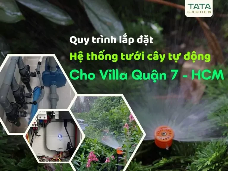 Quy trình thi công lắp đặt hệ thống tưới tự động cho Villa xây mới tại Quận 7 – HCM