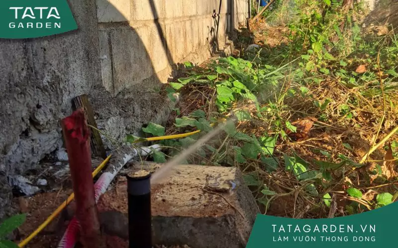 thi-cong-he-thong-tuoi-tu-dong-3