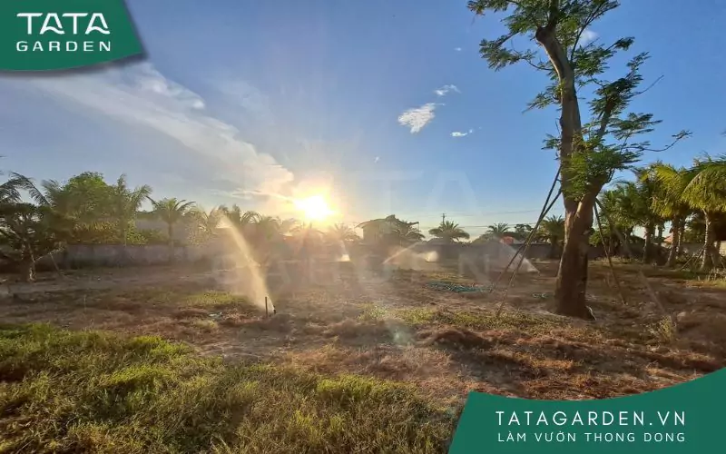 thi-cong-he-thong-tuoi-tu-dong-5