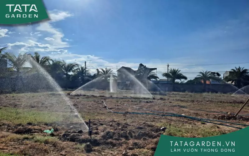 thi-cong-he-thong-tuoi-tu-dong-6