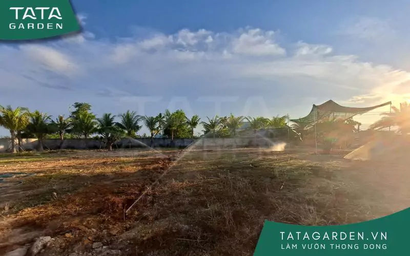 thi-cong-he-thong-tuoi-tu-dong-7