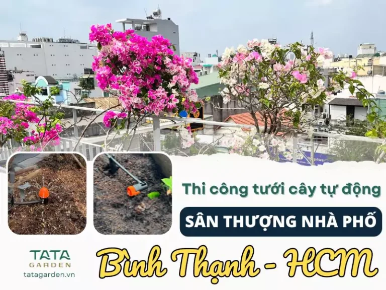 Thi công hệ thống tưới cây tự động sân thượng tại Bình Thạnh – Hồ Chí Minh