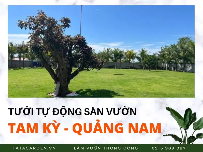 tuoi-cay-tu-dong-san-vuon-1