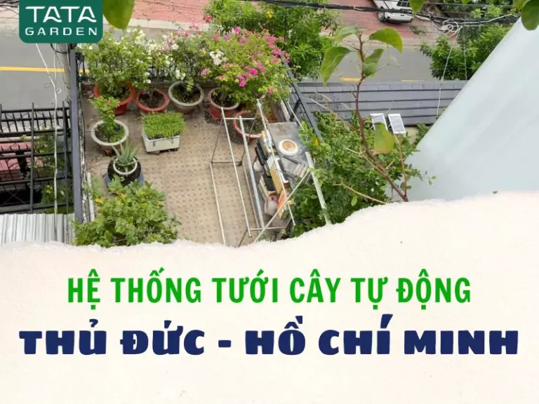 Thi công lắp đặt hệ thống tưới tự động cho ban công tại Thủ Đức – Hồ Chí Minh