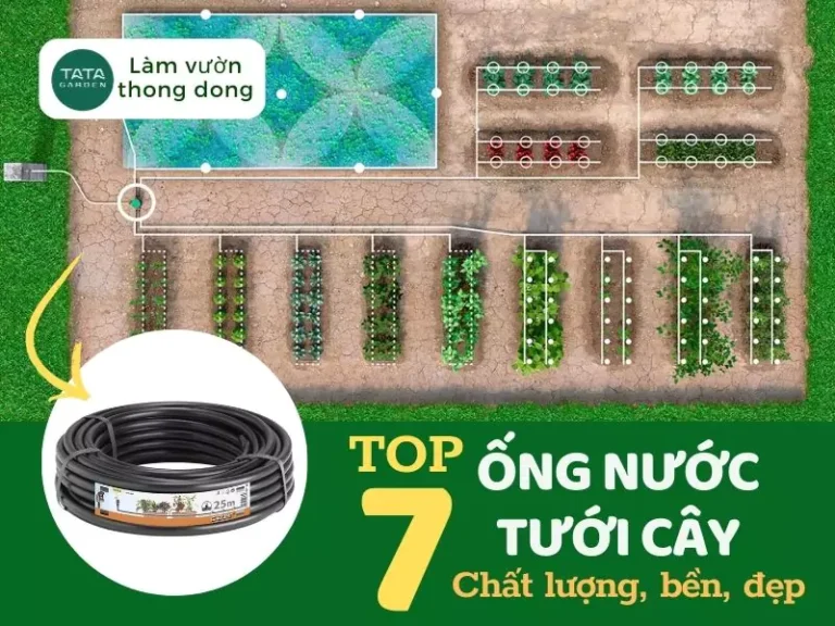 Top 7 cuộn ống nước tưới cây siêu bền, siêu chất lượng. Mới nhất 2025
