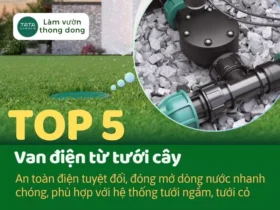 Top 5 van điện từ tưới cây loại tốt, đảm bảo an toàn điện cho lĩnh vực tưới. Mới nhất 2025