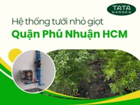 Thi công lắp đặt hệ thống tưới nhỏ giọt cho khách hàng tại quận Phú Nhuận
