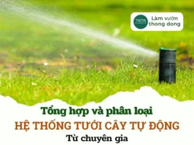 Tổng hợp và phân loại hệ thống tưới cây tự động từ chuyên gia. Cập nhật 2024