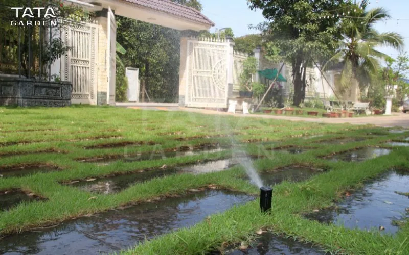 Béc tưới rotor-5m