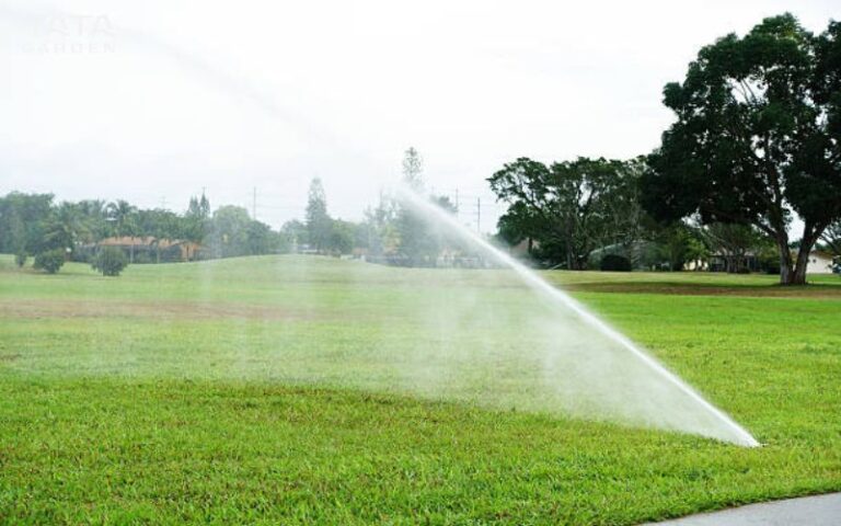 Hướng dẫn sử dụng béc tưới phun mưa Rotor chi tiết tại nhà