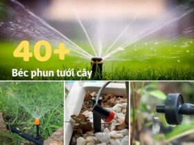 40+ Béc phun tưới cây cảnh quan chất lượng cao theo nhu cầu sử dụng