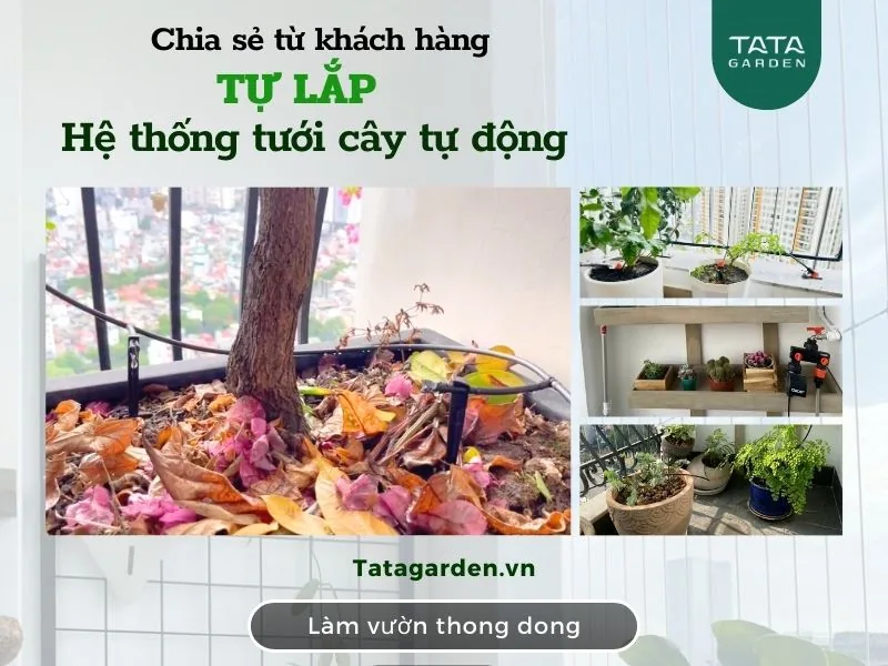 Chia sẻ khách hàng: tự lắp hệ thống tưới cây tự động tại Hà Nội
