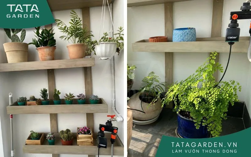 Hình ảnh thiết bị tưới sau khi được chủ nhà tự lắp