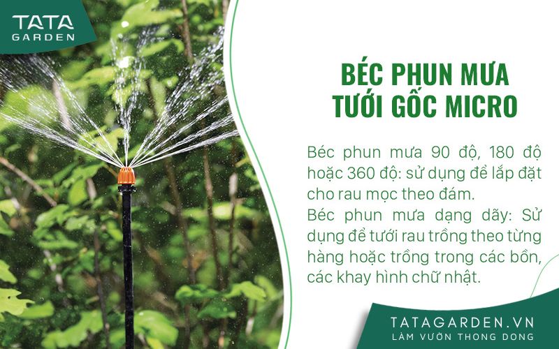 Béc phun mưa tưới gốc Micro cho rau