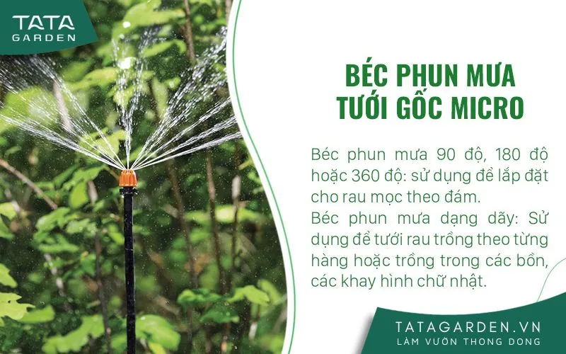 Béc phun mưa tưới gốc Micro cho rau