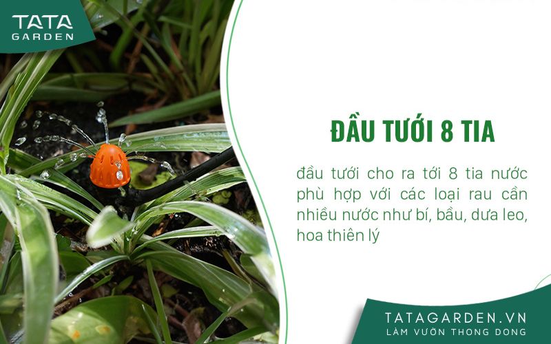 Béc tưới 8 tia chân cắm cho rau