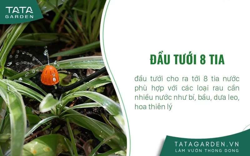 Béc tưới 8 tia chân cắm cho rau