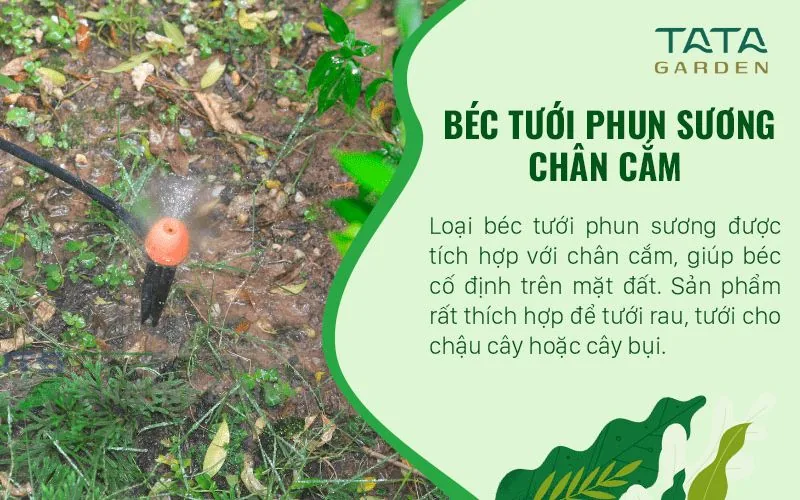 Béc tưới phun sương chân cắm