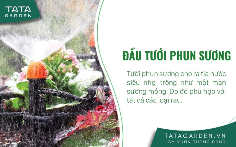 Đầu tưới phun sương cho vưởn rau