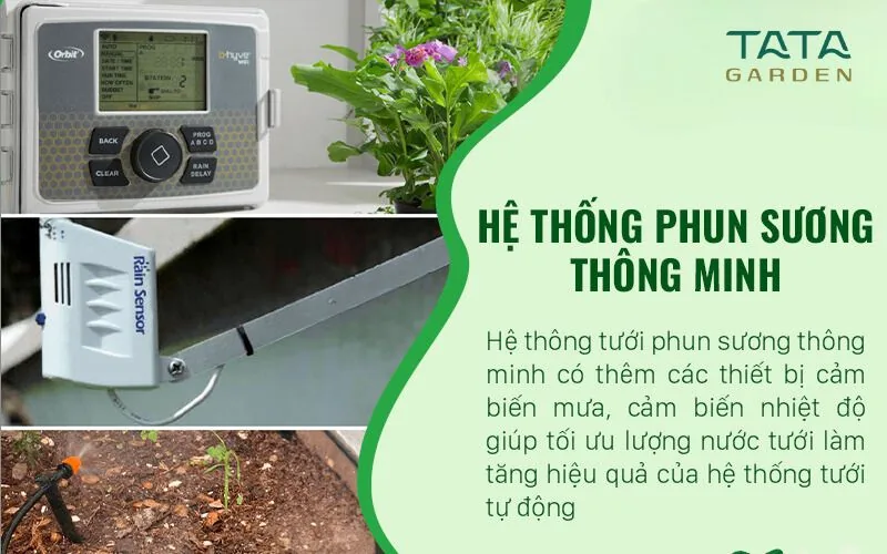 Hệ thống phun sương thông minh