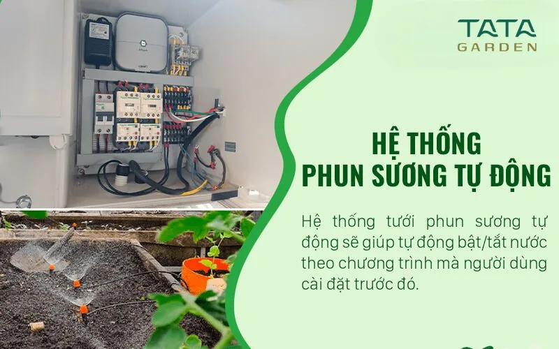 Hệ thống phun sương tự động