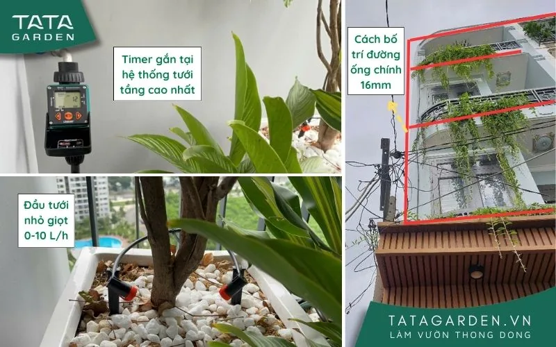 Bố trí hệ thống tưới tập trung