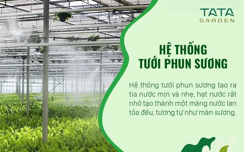 Hệ thống tưới phun sương là gì? Phân loại, ứng dụng