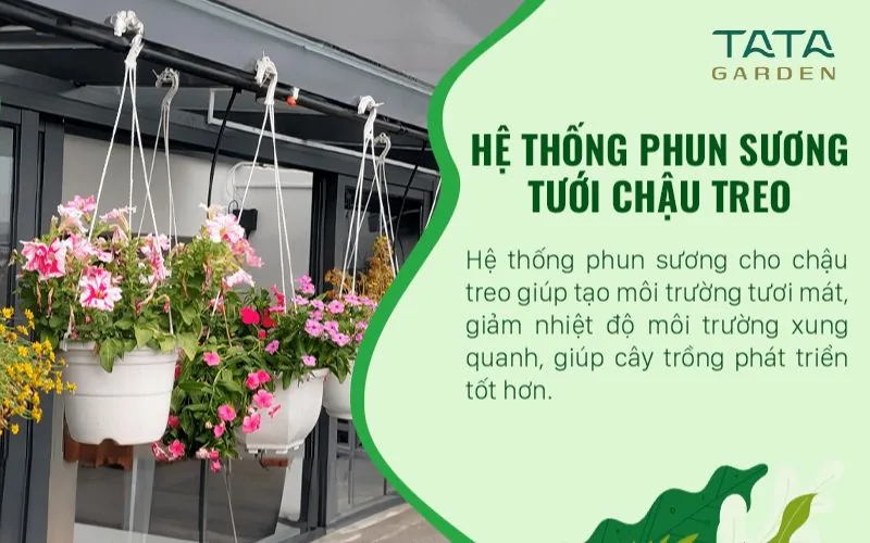 Hệ thống tưới phun sương cho chậu treo