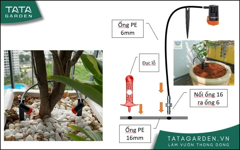 Cách gắn béc tưới nhỏ giọt