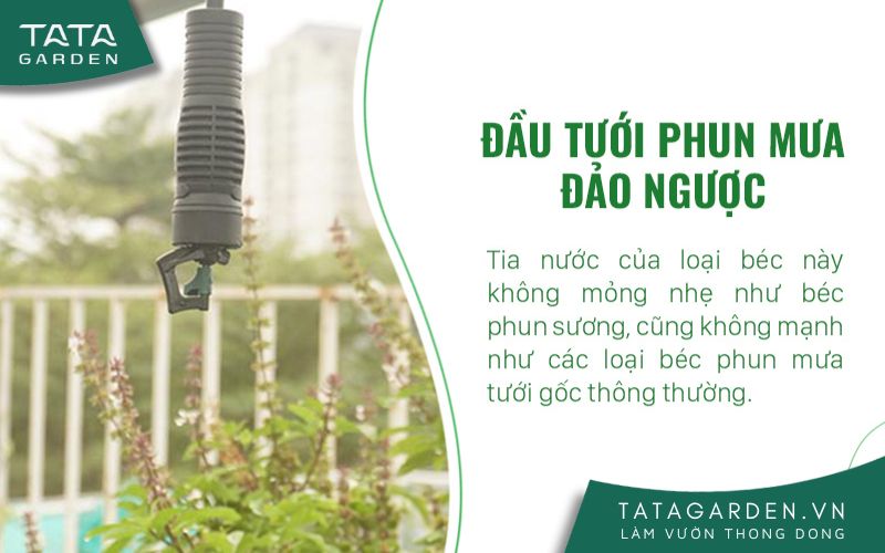 Đầu phun mưa đảo ngược cho rau