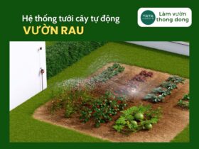 Hệ thống tưới vườn rau – Thiết bị, phân loại đầu tưới