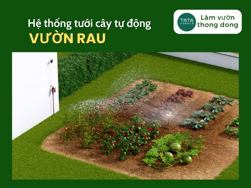Hệ thống tưới vườn rau – Thiết bị, phân loại đầu tưới