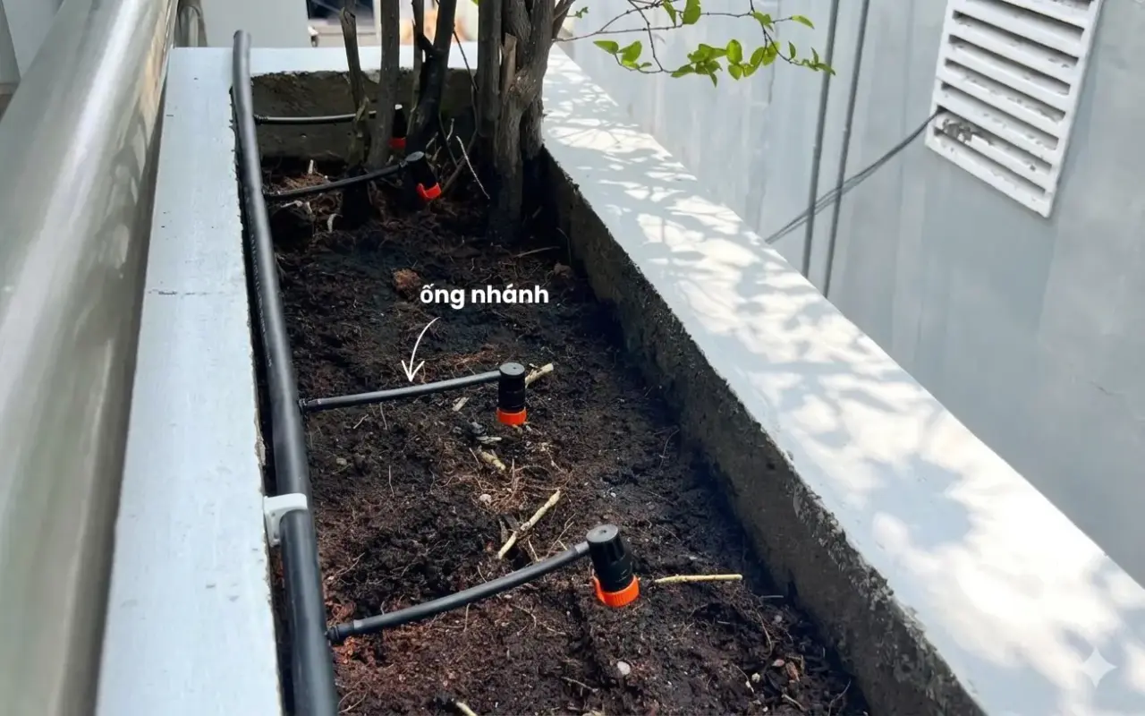 Thiết kế các đoạn ống nhánh dẫn nước từ ống chính đến béc tưới