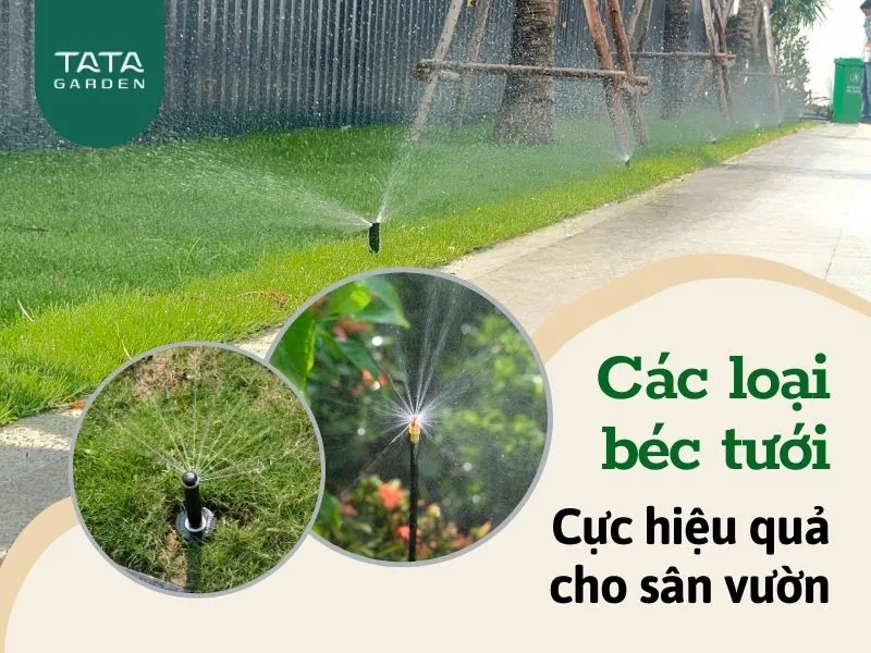 Các loại béc tưới cây hiệu quả – Tìm hiểu để chọn lựa đúng loại cho sân vườn của bạn