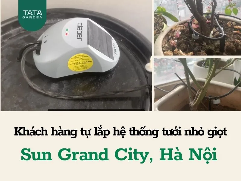Khách hàng tự lắp hệ thống tưới nhỏ giọt ban công tại Sun Grand City, Hà Nội