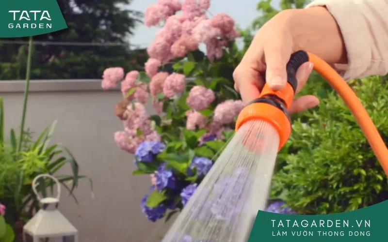 Mẫu vòi xịt tưới cây của Claber