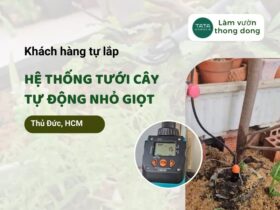Khách hàng Thủ Đức tự lắp hệ thống tưới cây nhỏ giọt cho ban công