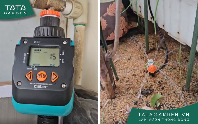 Tự lắp hệ thống tưới tự động