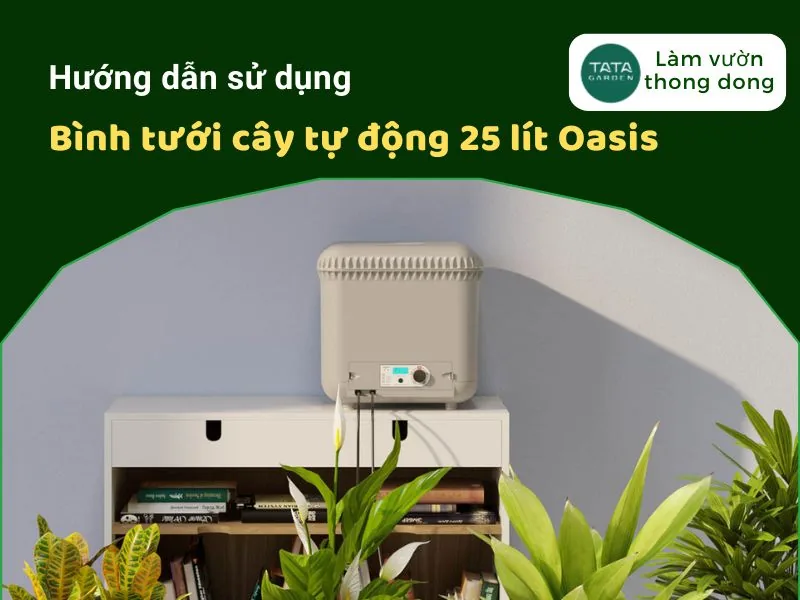 [Hướng dẫn sử dụng] Bình tưới cây tự động 25 lít Oasis
